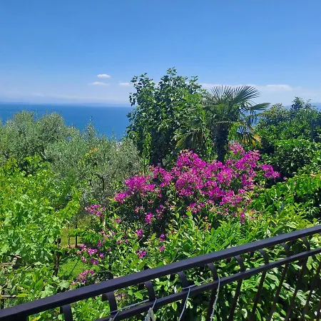 Camelia * Opatija