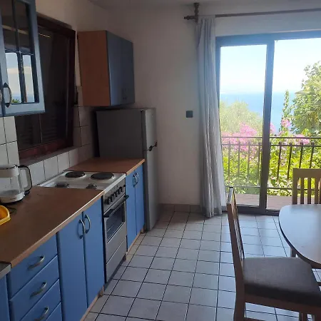 Camelia * 오파티아