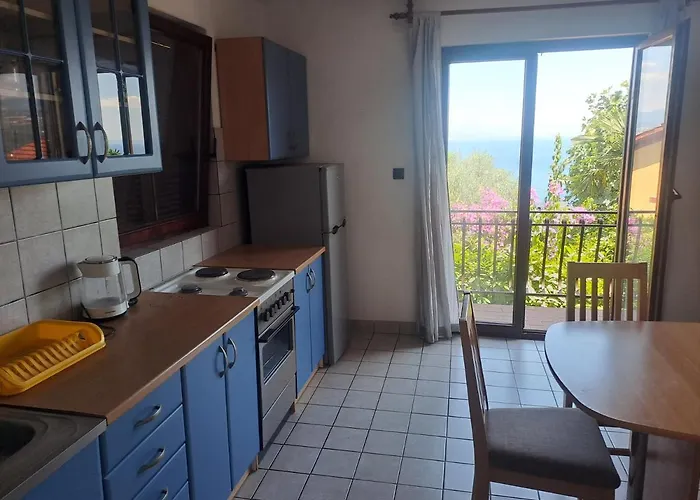 Camelia * أوباتيا